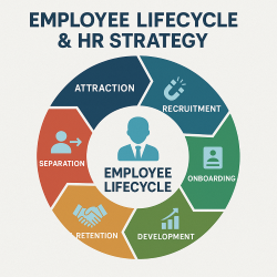 Employee Lifecycle & HR Strategy